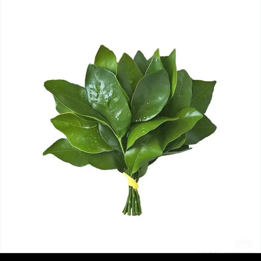 小张吖～