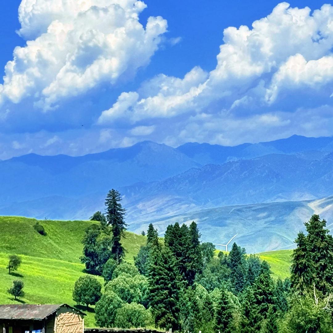 夏阳家居清洁