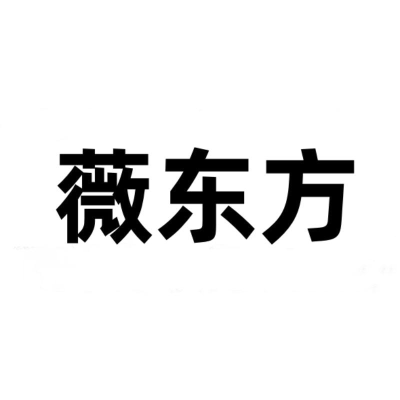 薇东方数码配件旗舰店