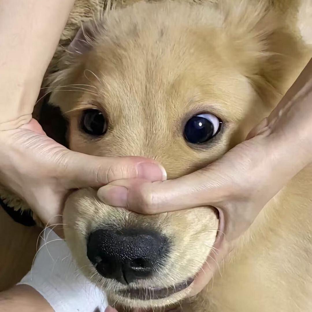¡