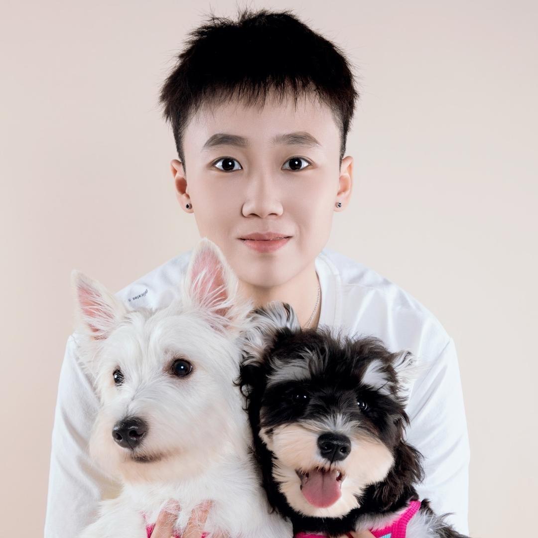 六六是只西高地