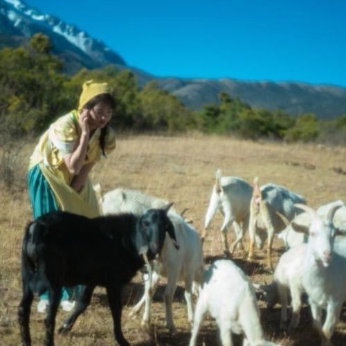 农村小妹放羊生活