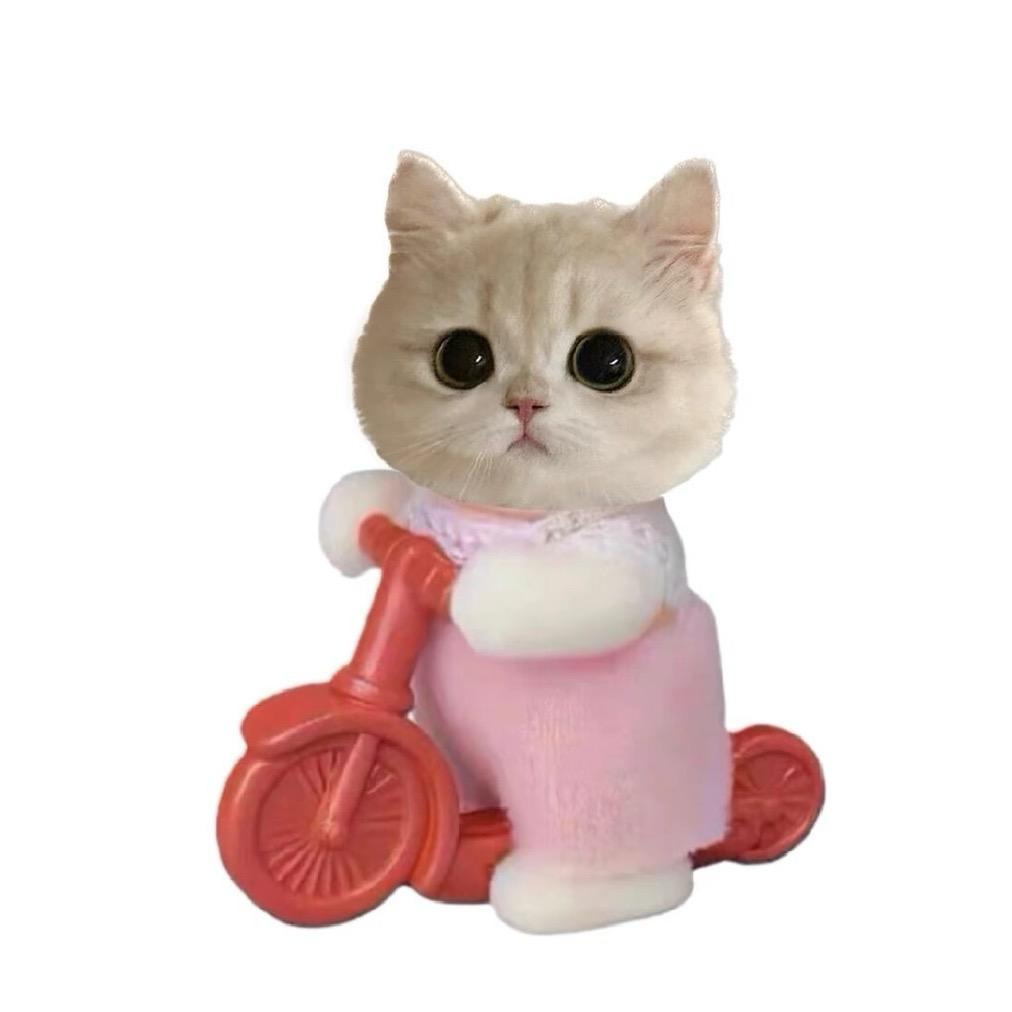 小芷