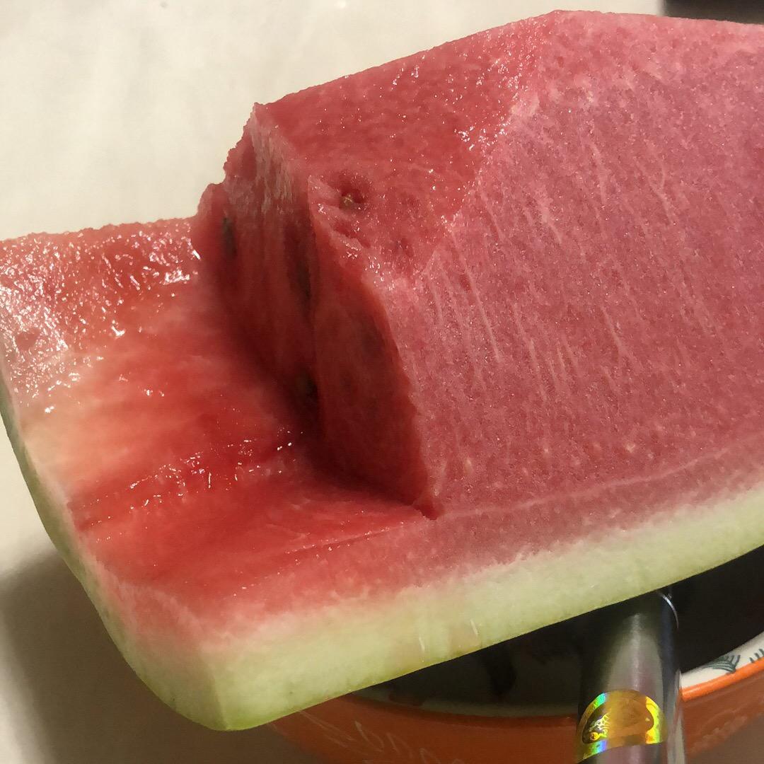 微修科学家