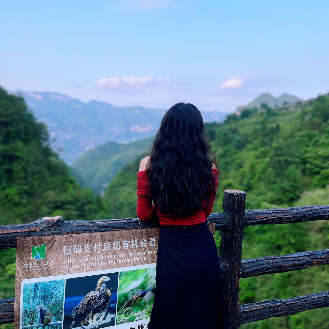 小悦悦 *