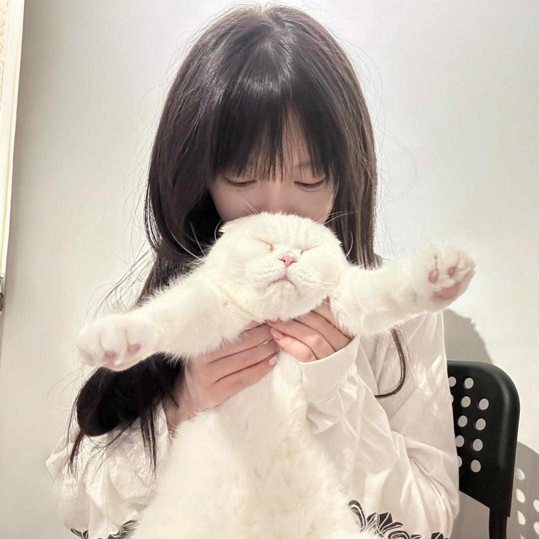 脆脆鲨