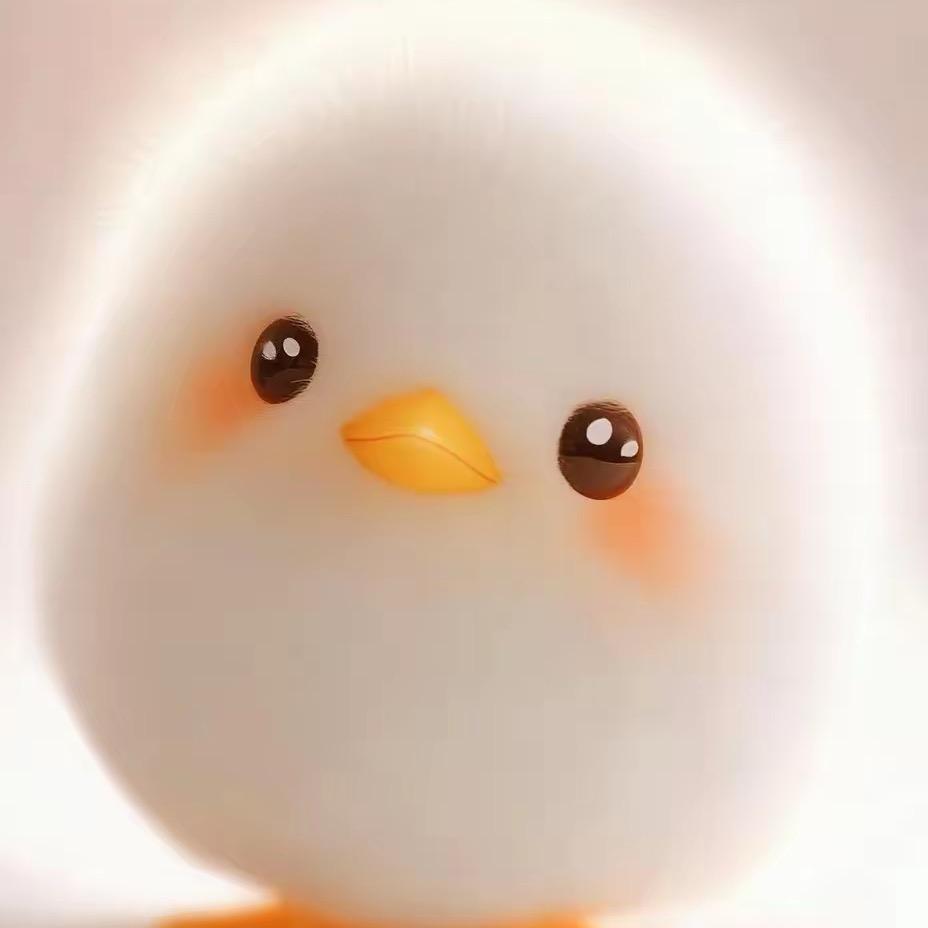 💗小庄同学