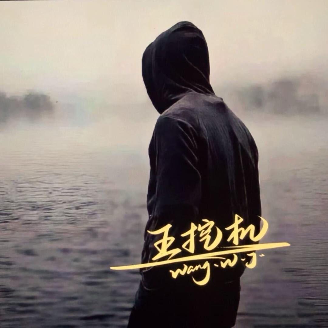 王挖机