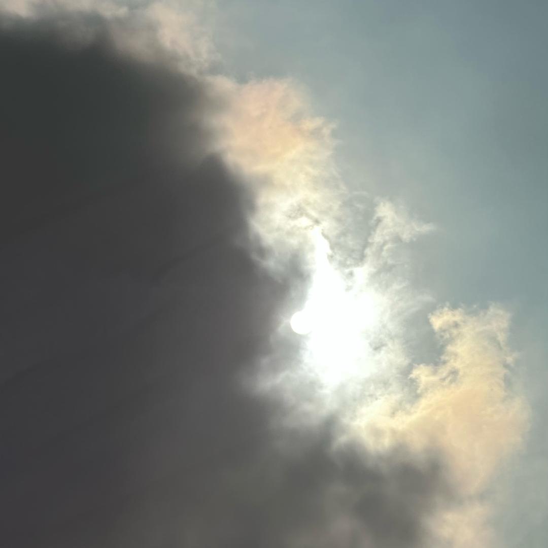 毫无头xu