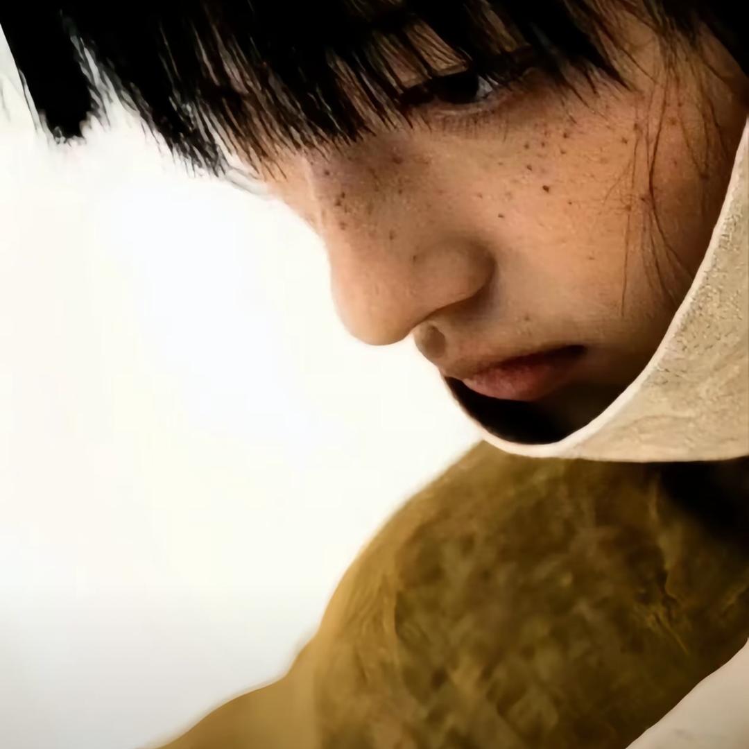 人生若只如初见