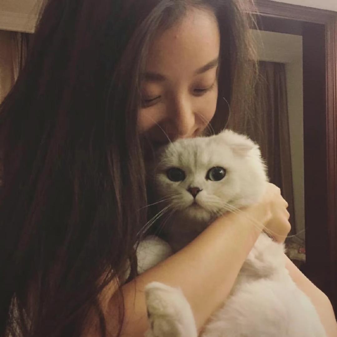 ʚ禹禹ɞ: