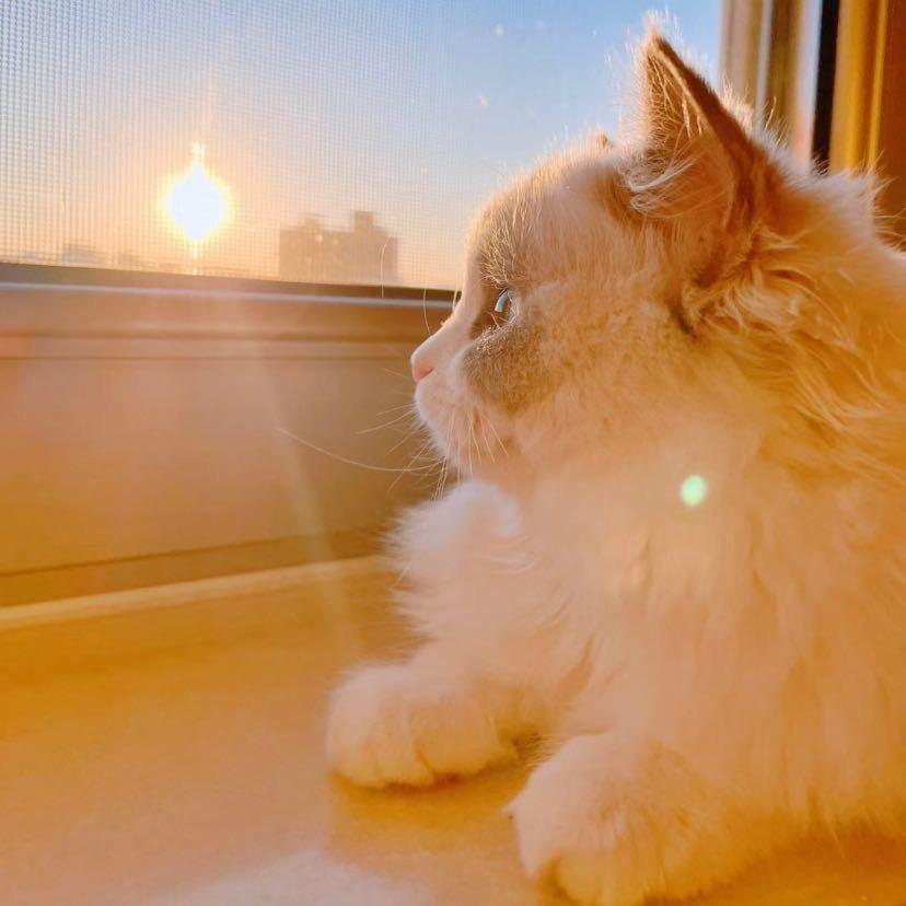 ～春暖花开～～～
