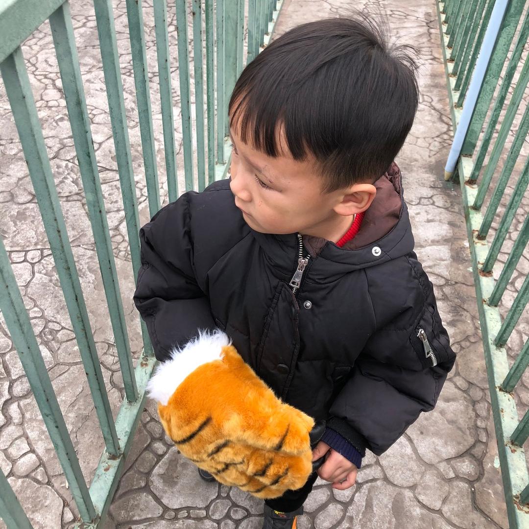 是落落呀