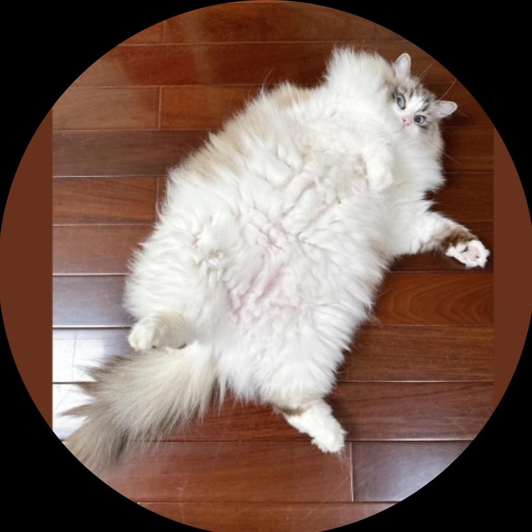 我只是一个抖音昵称