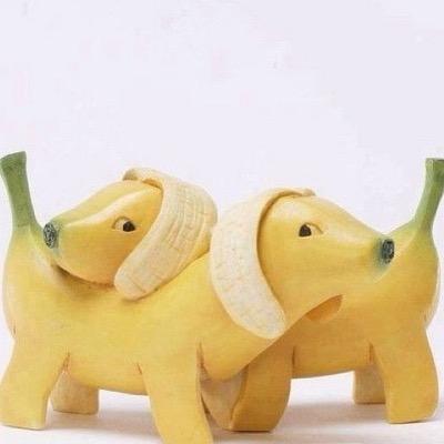 乌合之众