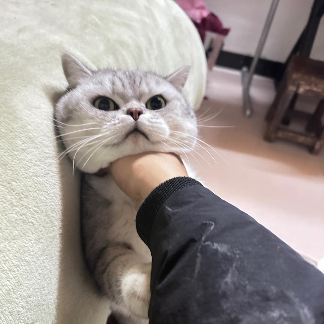 锅锅哦
