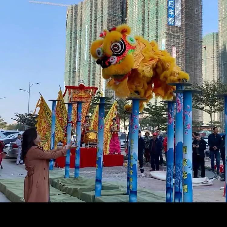 廉江.振興醒狮(吴团)
