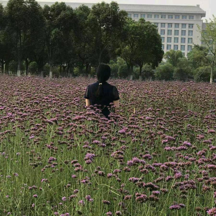阿竹姐