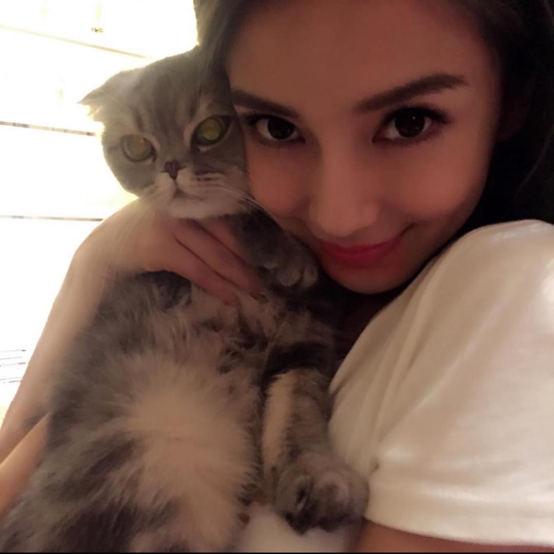 世界以痛吻我我直接痛死