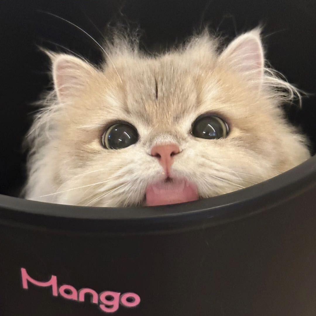 虾仁不眨眼.🦐