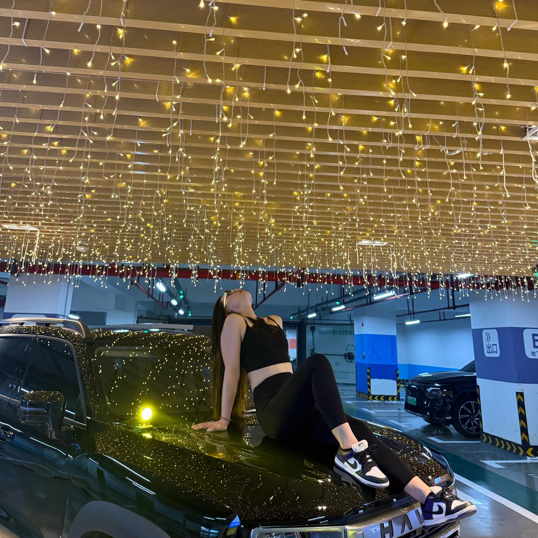 露小姐的大狗car