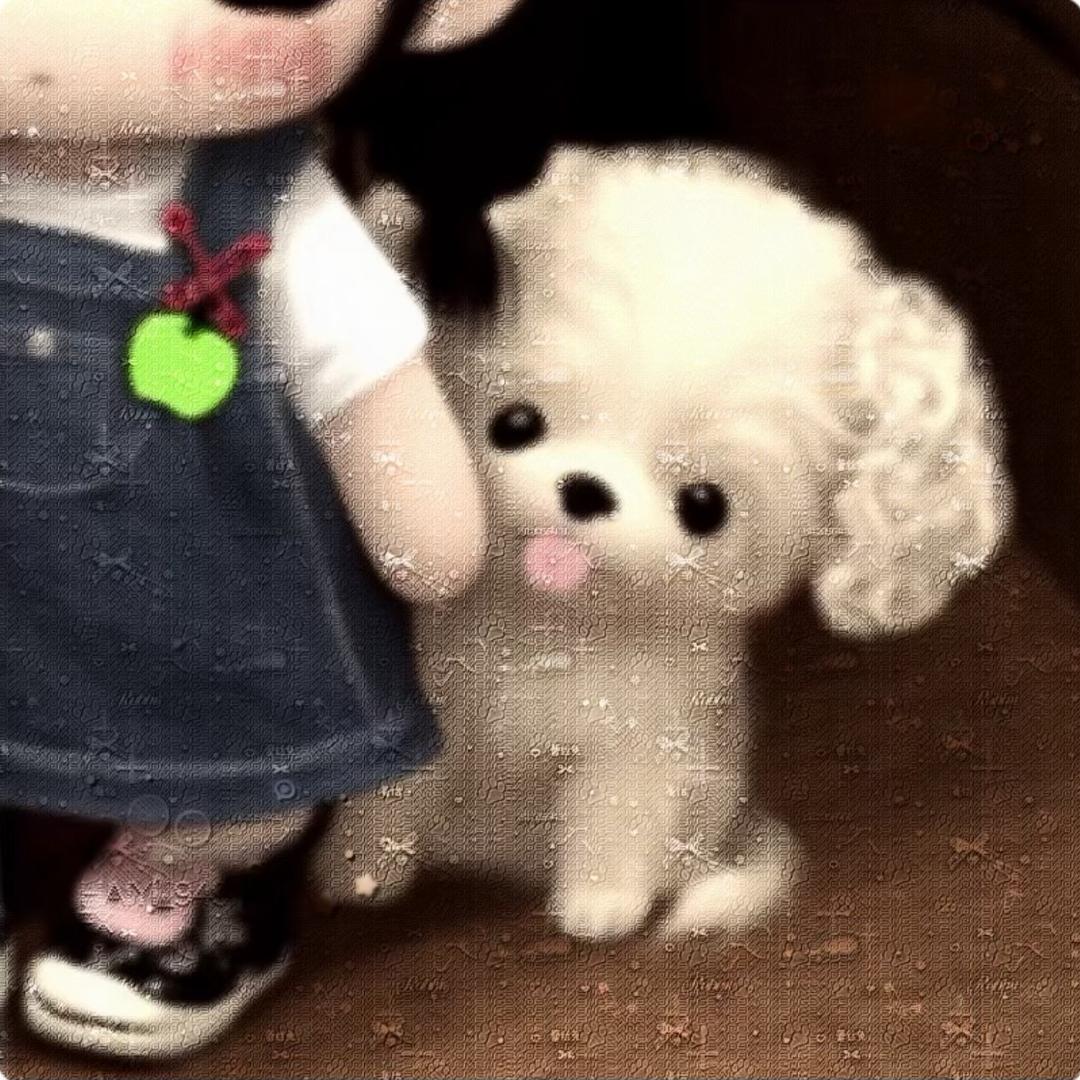 舍得
