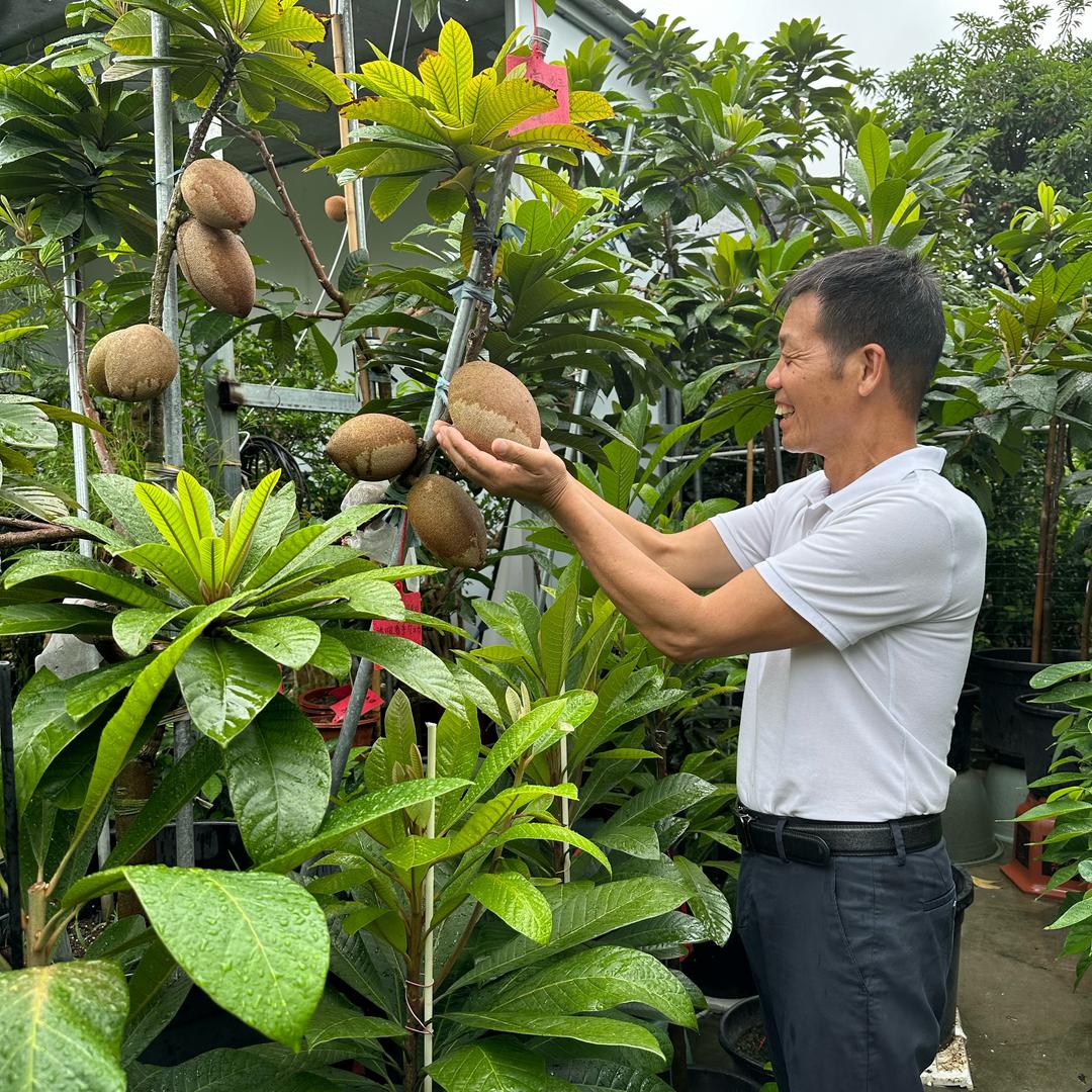 天台农夫-景叔种植精选