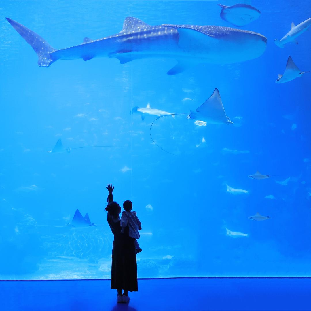 娜孜菲的麻麻👩