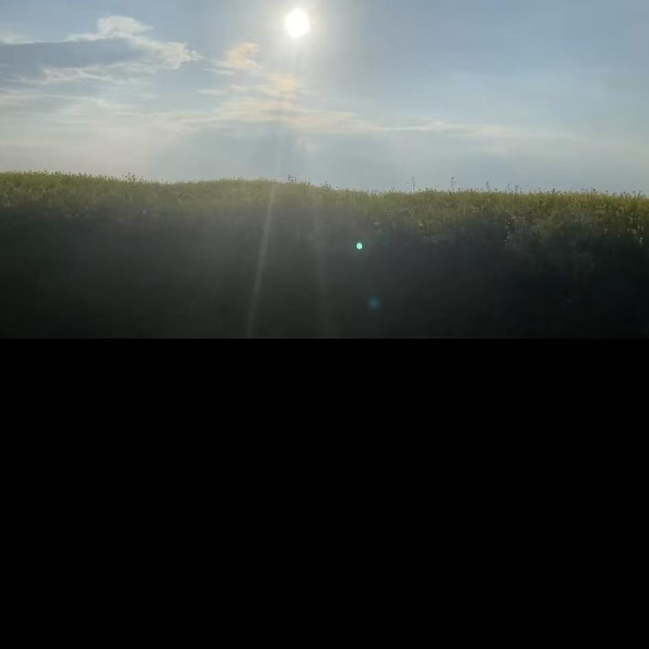 小江哥哥幸福生活