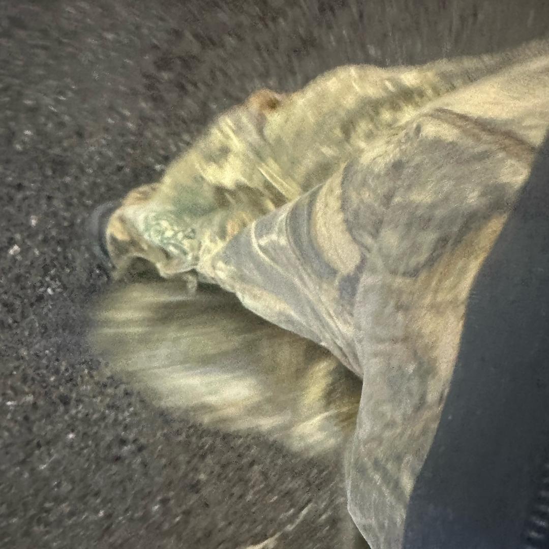 ..ss