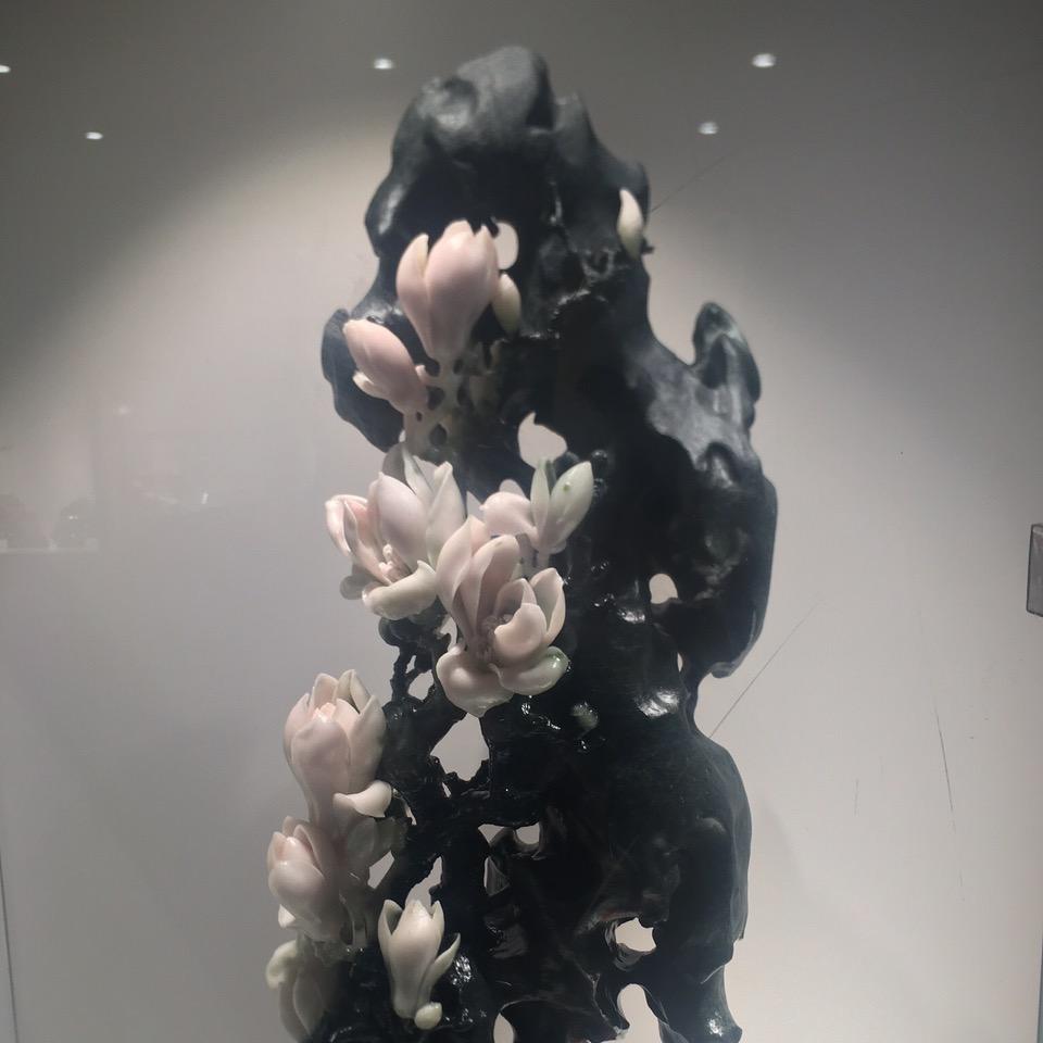 别拿经历谈人生