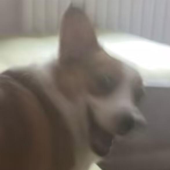 灼遁·——（单机版