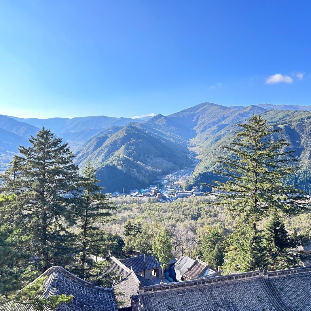 圣讼刑辩律师