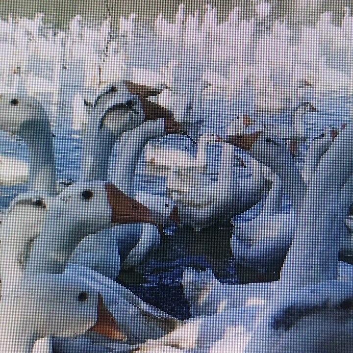 我爱吃大鹅