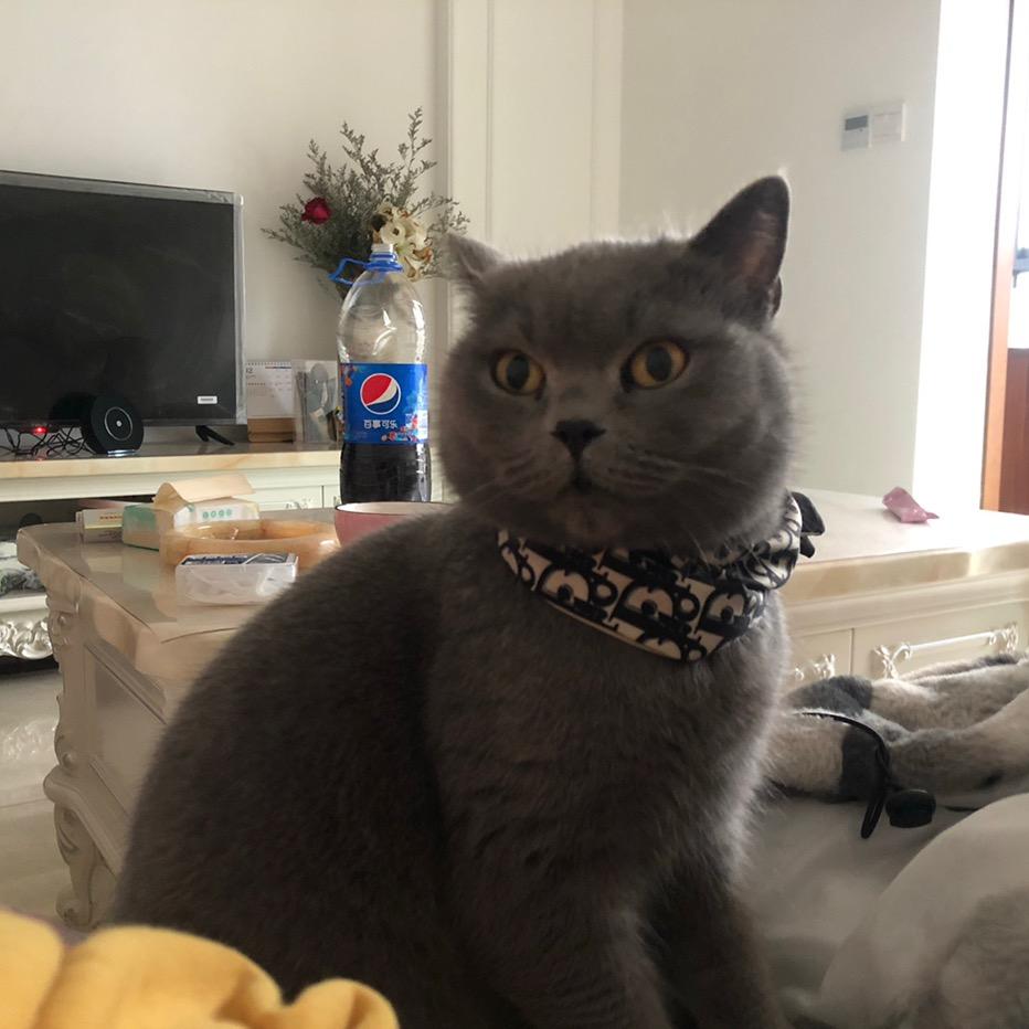 😊