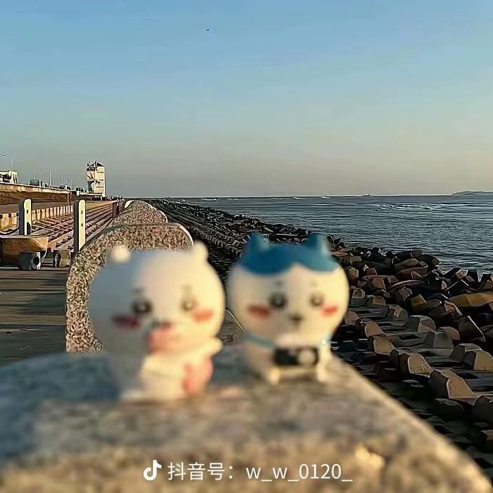 不瘦十斤不改名