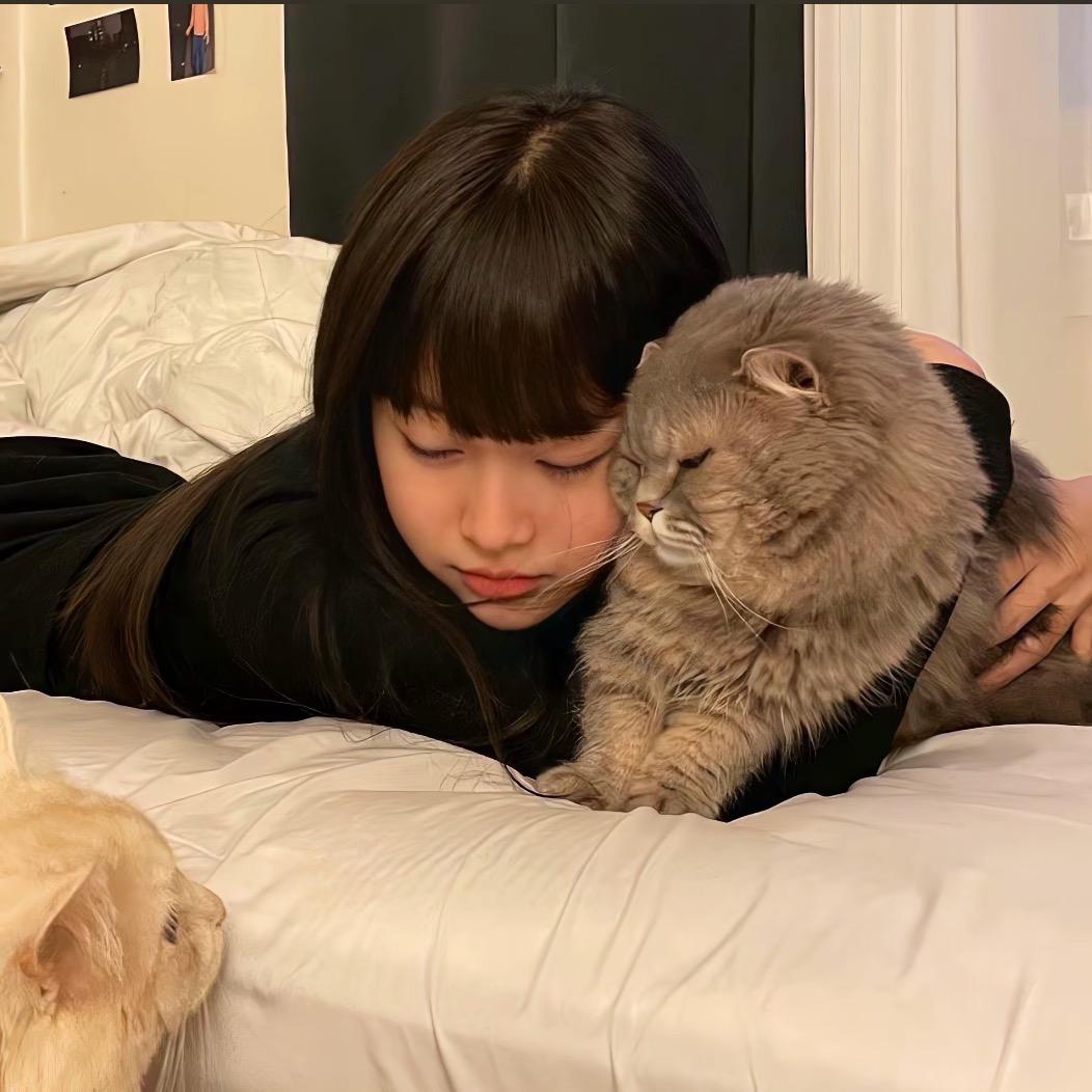 一句晚安ᶻ 𝗓 𐰁