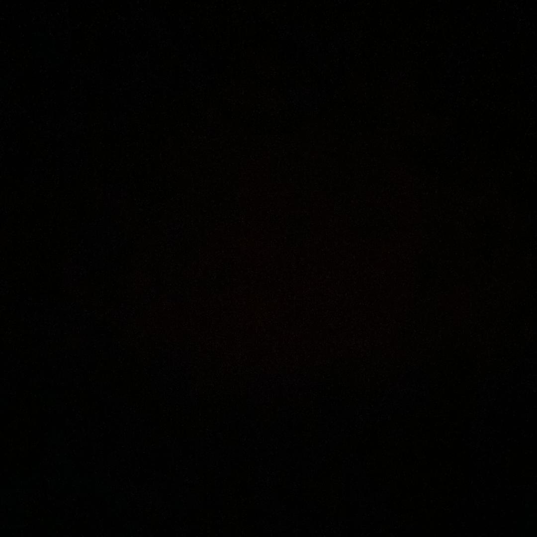 桃姿
