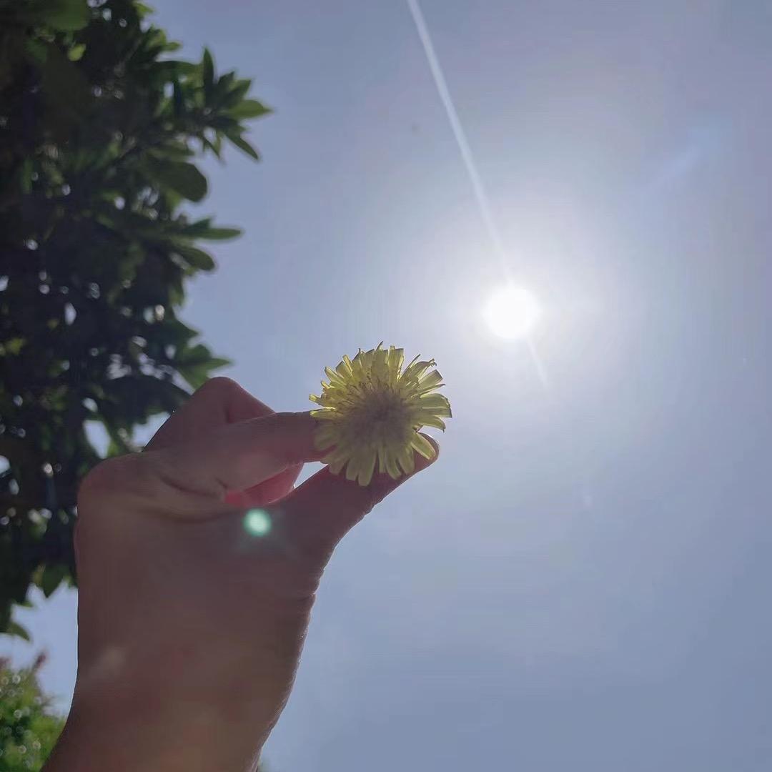 雾里看花🧚