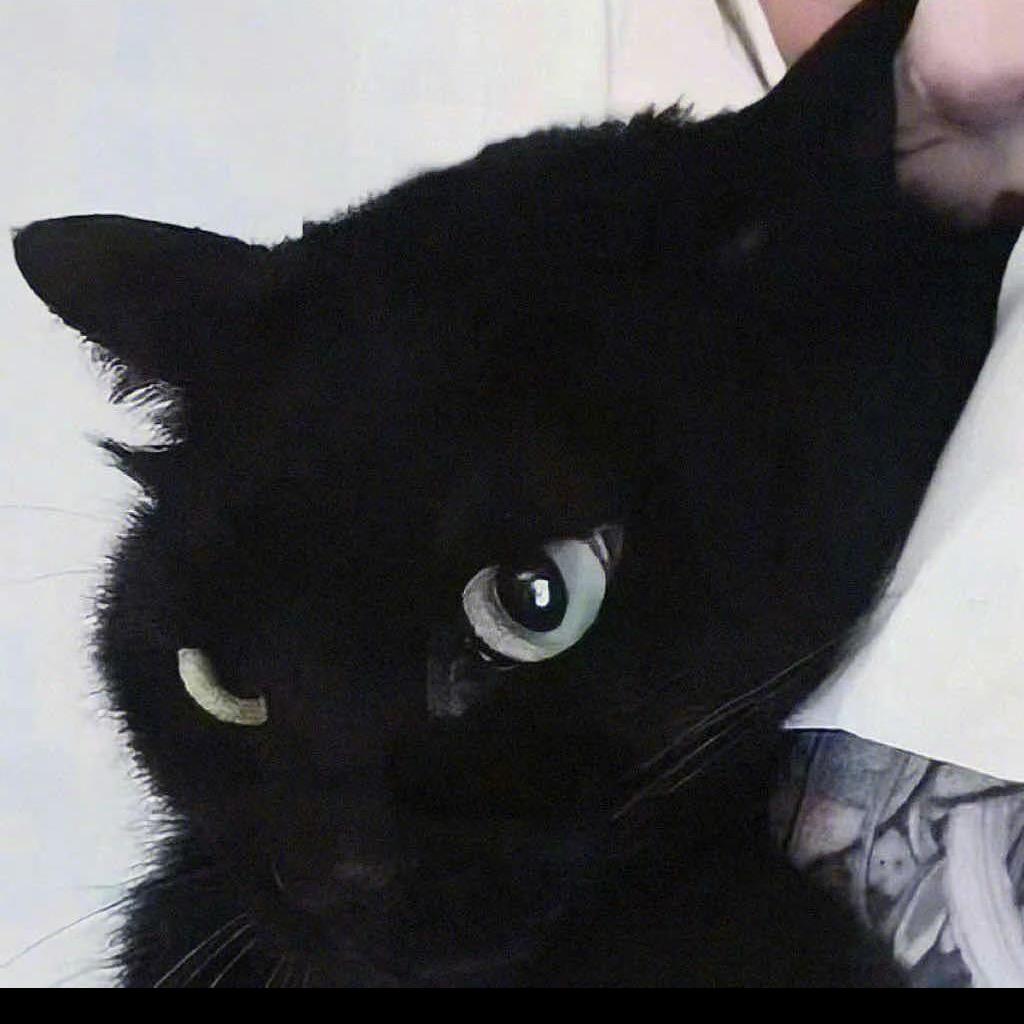 什么也没发生！