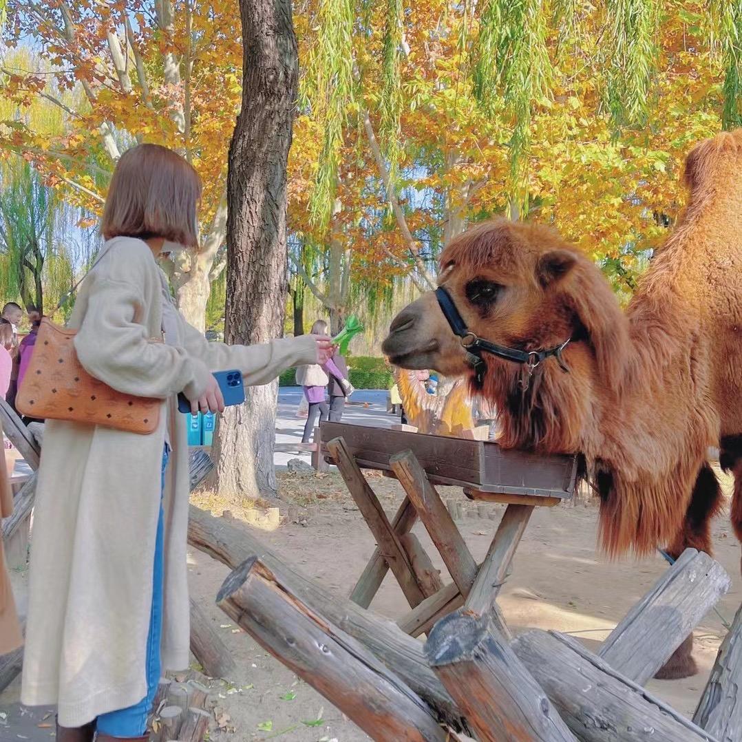 常楽 .🧚🏻‍♀️