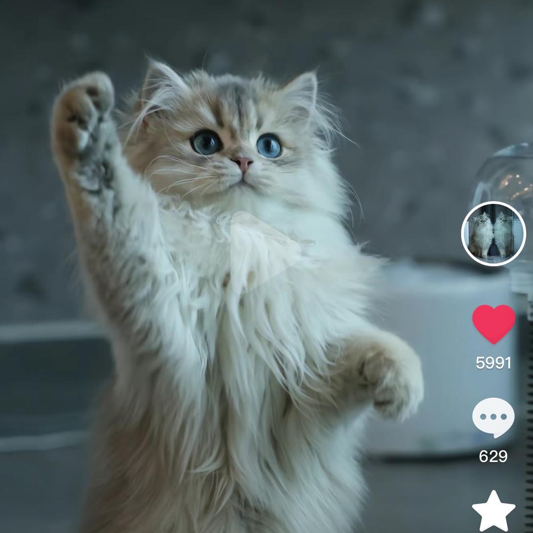 𝒀𝑳𝑮🍊雪宝宝🧚‍♀️