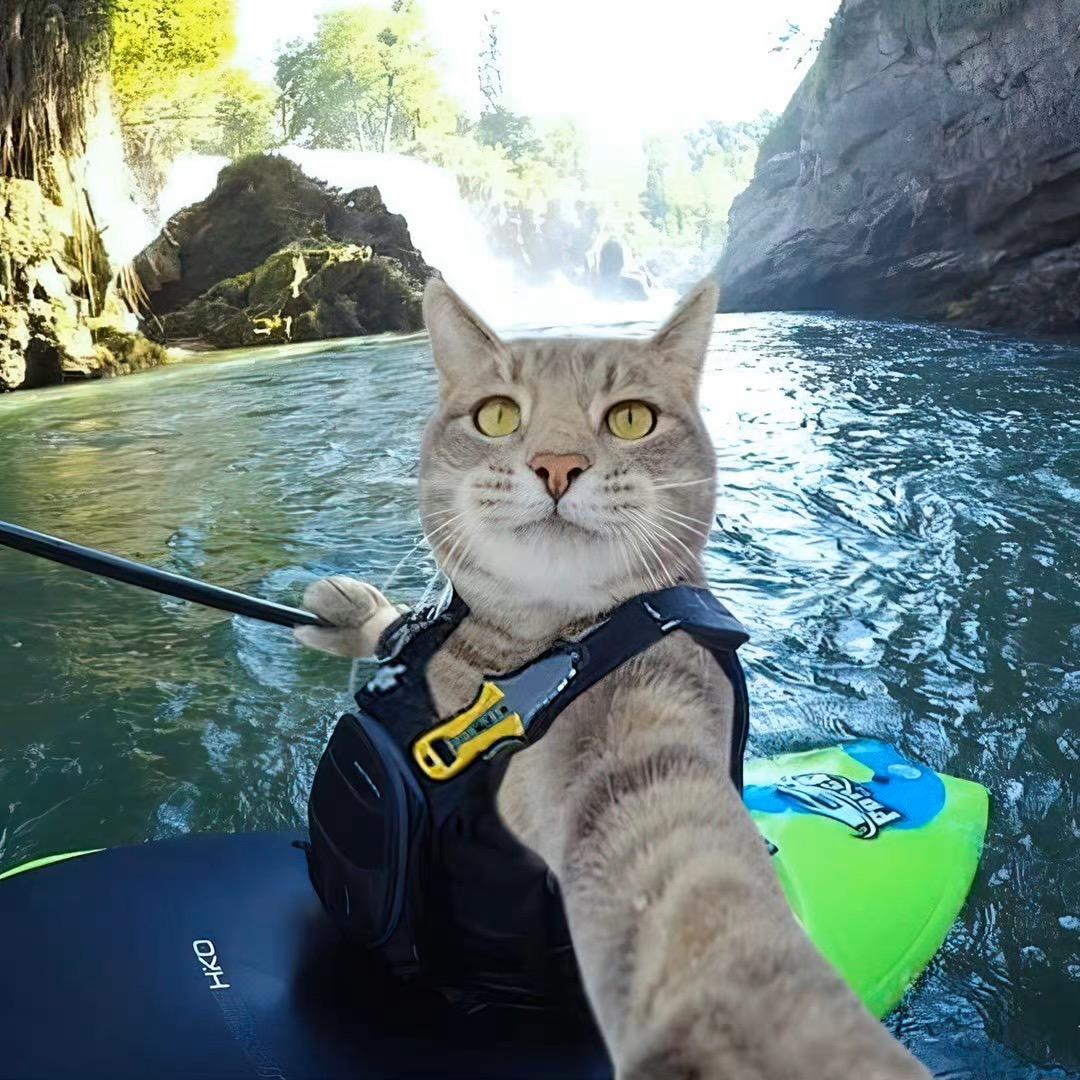 哈哈侠大战嘤嘤怪