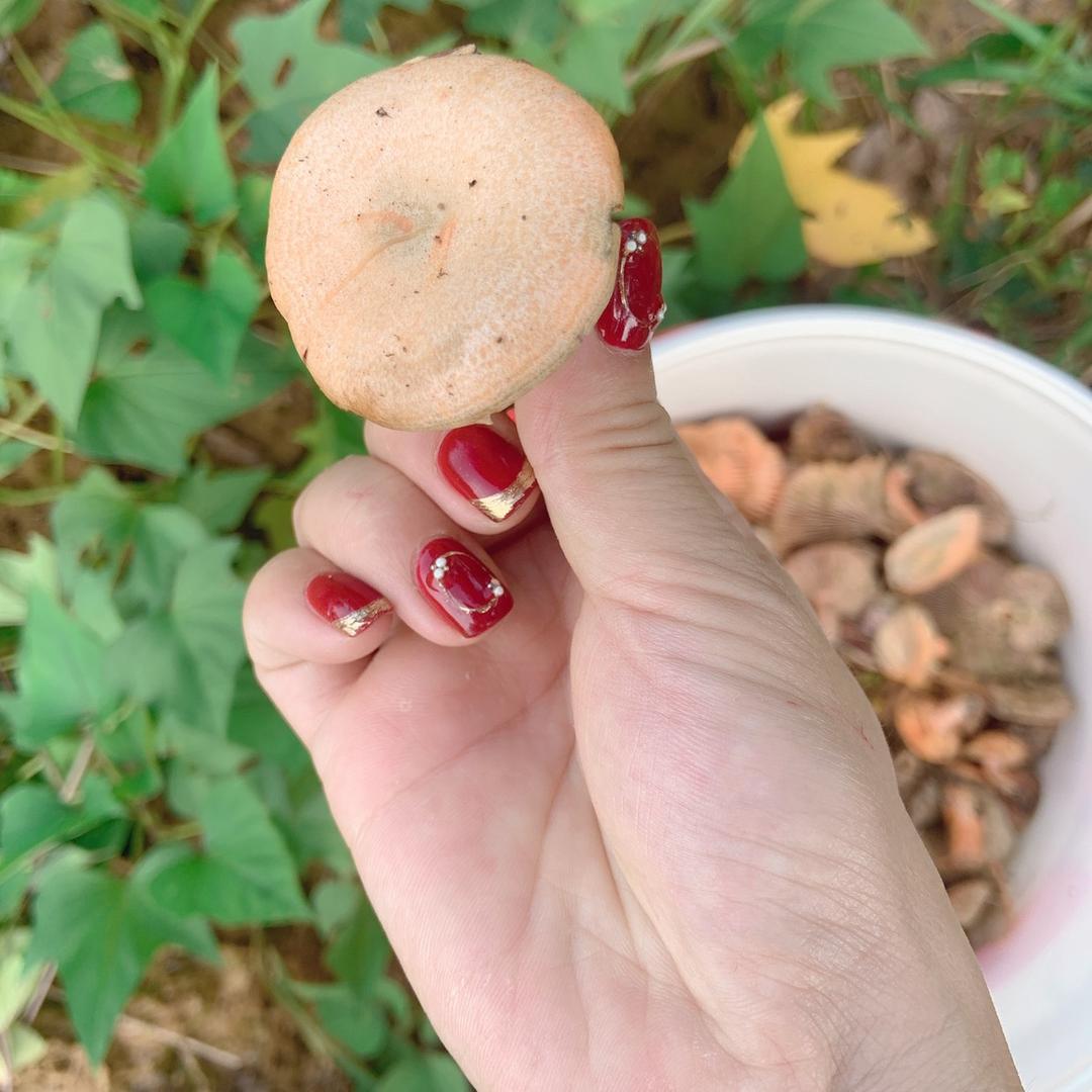 ℳঞ🍒三生石畔꧔ꦿ᭄࿐ᩚ