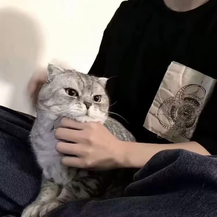 故事的开端