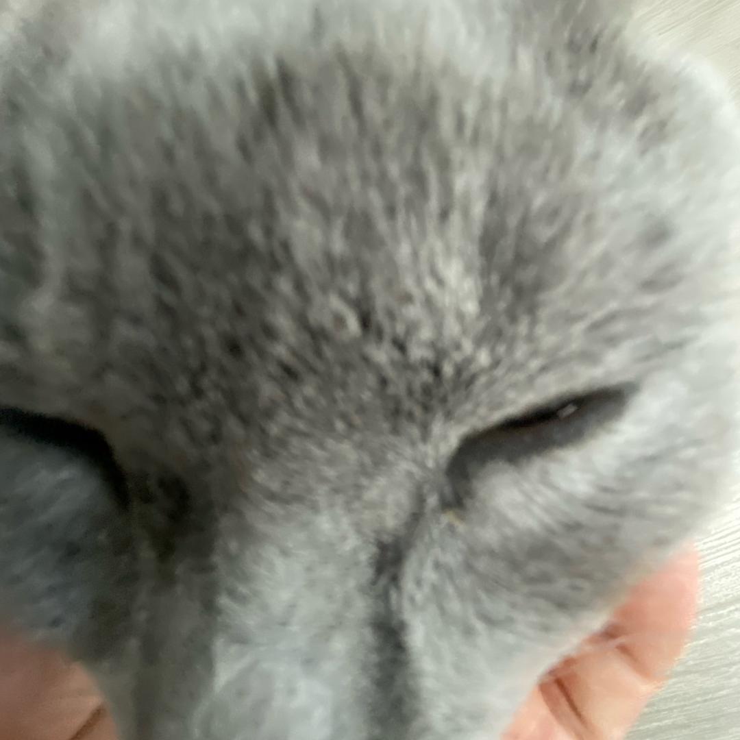 空空爱美食