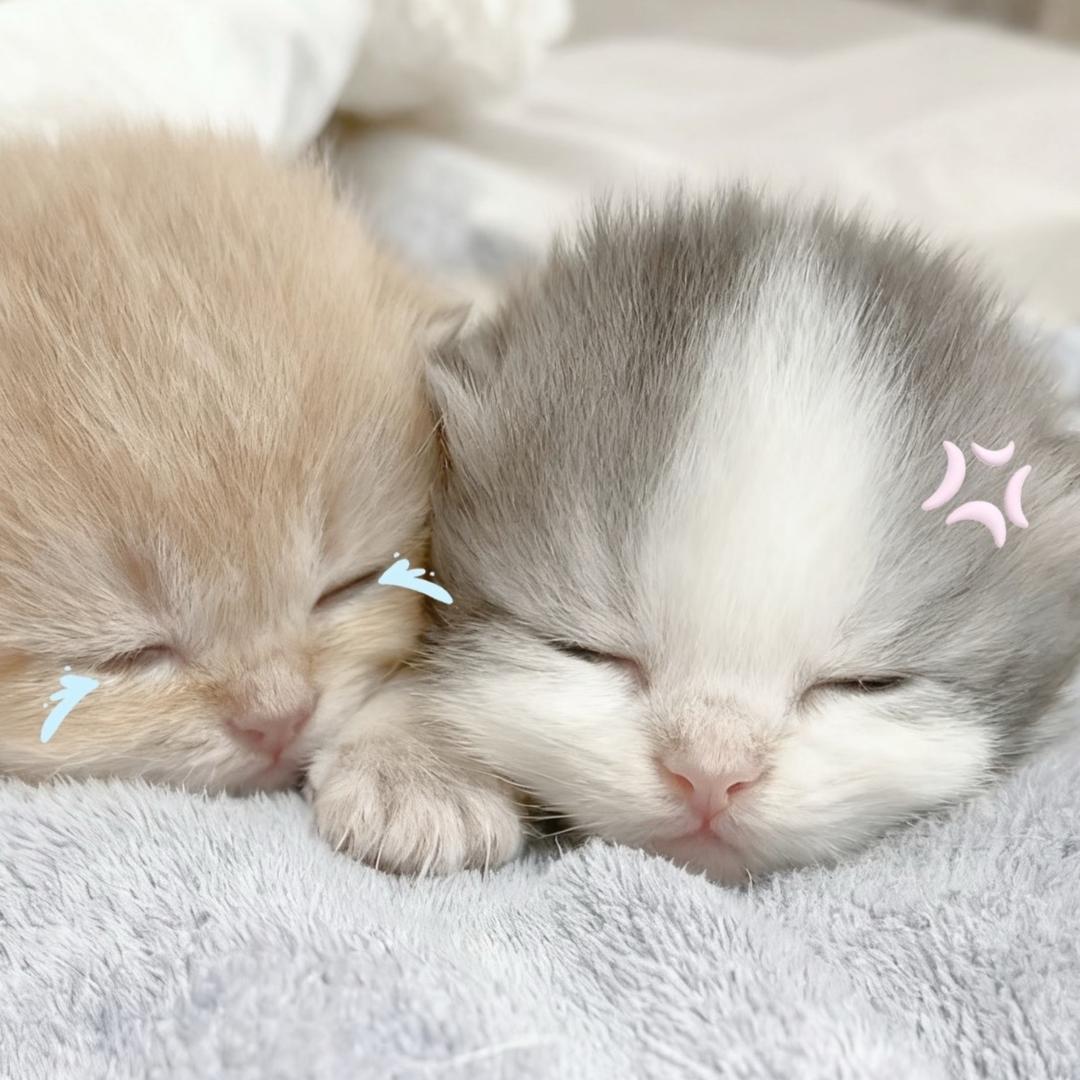 -是你来晚了
