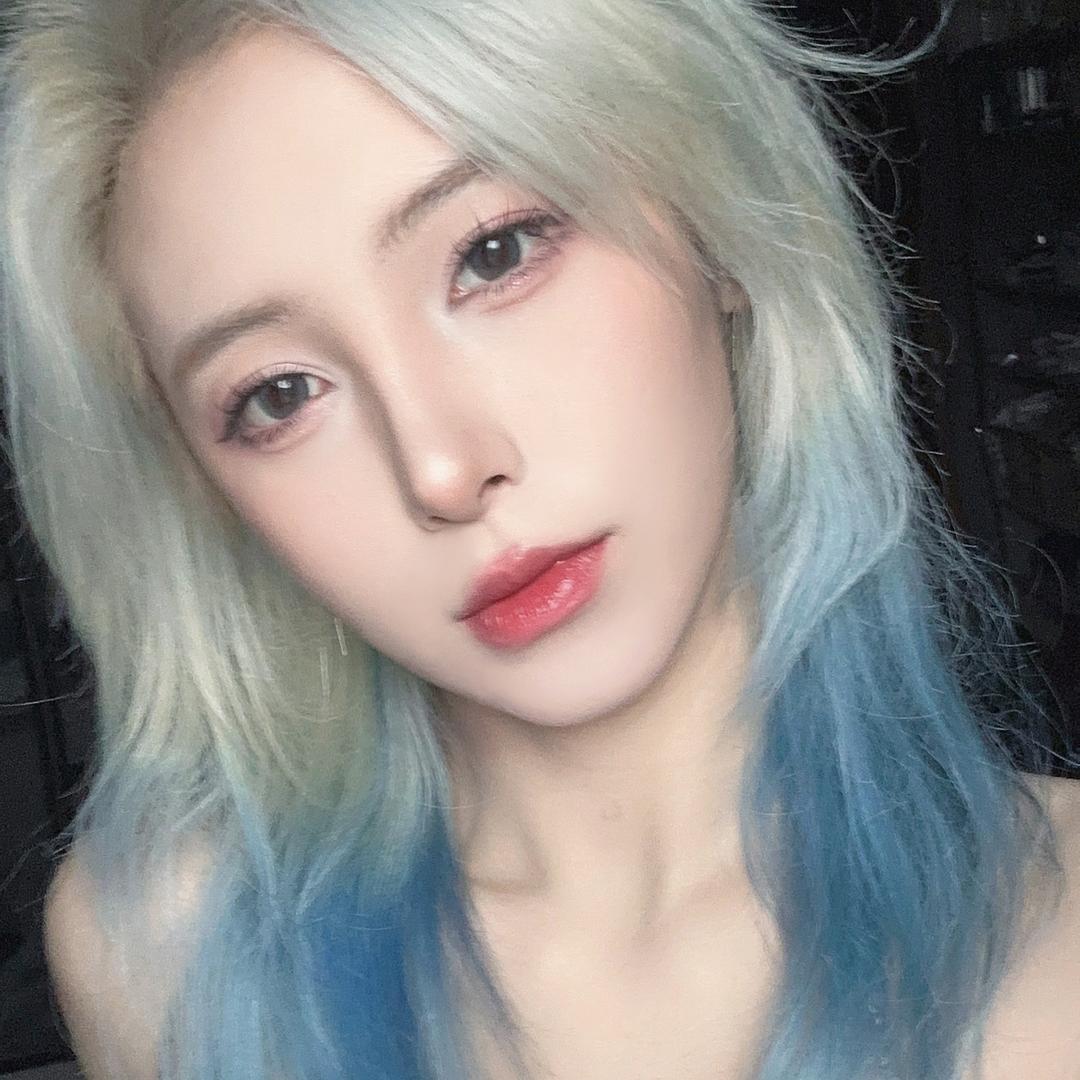 苏轼的维尼💜