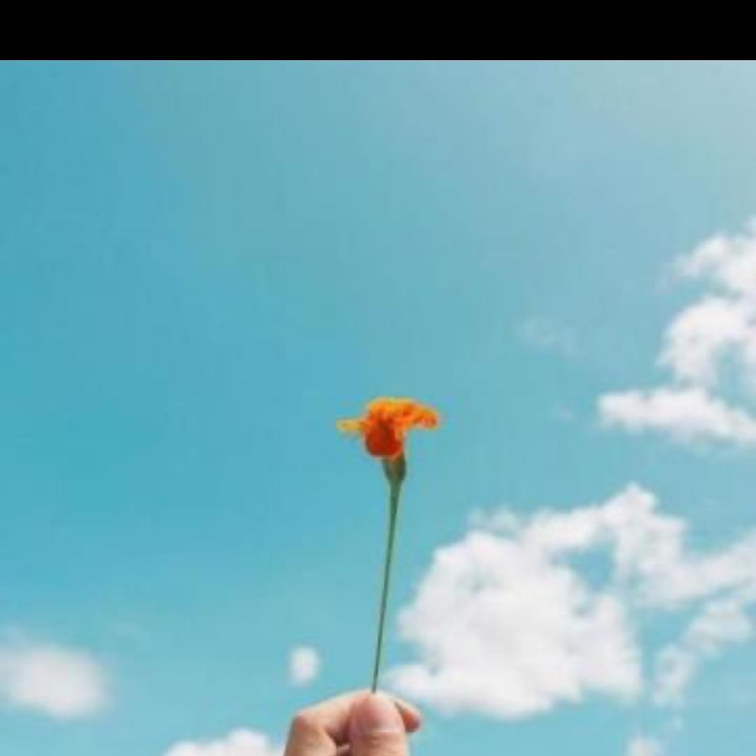 晓晓🌹