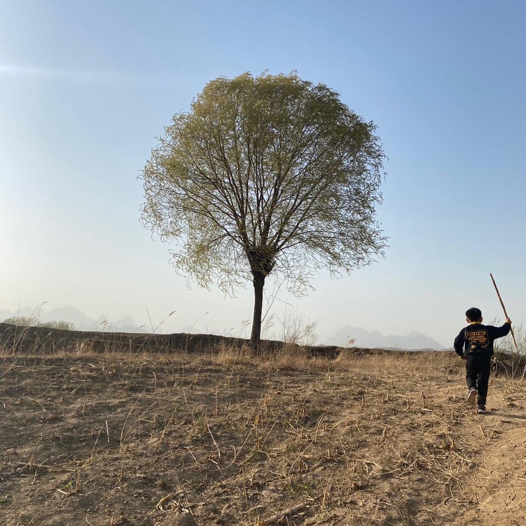 忆乡农建（旧改新建房）